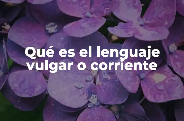Qué es el Lenguaje Vulgar o Corriente