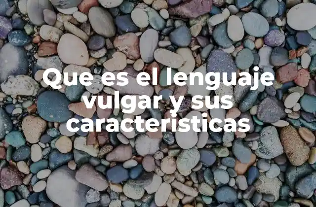 Que es el Lenguaje Vulgar y Sus Caracteristicas