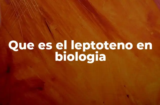 Que es el Leptoteno en Biologia