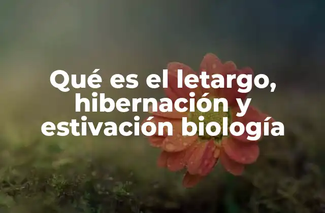 Qué es el Letargo, Hibernación y Estivación Biología