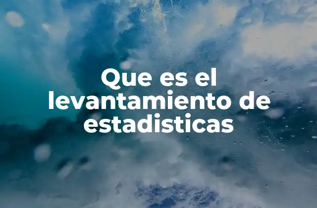 Que es el Levantamiento de Estadisticas