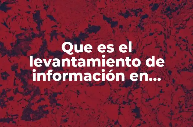Que es el Levantamiento de Información en Contabilidad