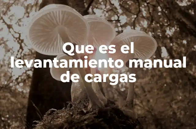 Que es el Levantamiento Manual de Cargas