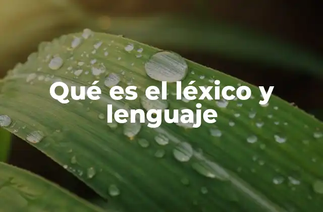 Qué es el Léxico y Lenguaje