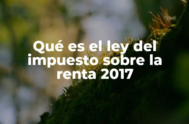 Qué es el Ley Del Impuesto sobre la Renta 2017 2 La importancia del impuesto sobre la renta en la economía nacional