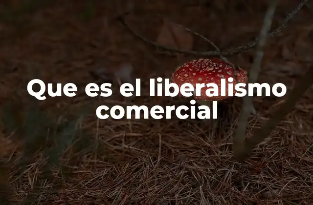 Que es el Liberalismo Comercial