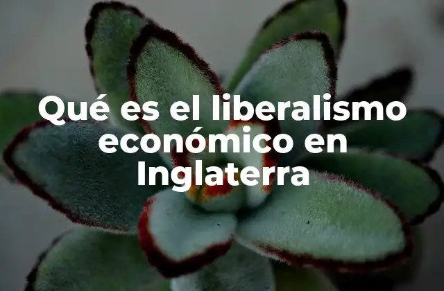 Qué es el Liberalismo Económico en Inglaterra