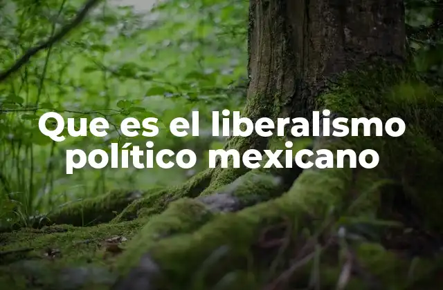 Que es el Liberalismo Político Mexicano