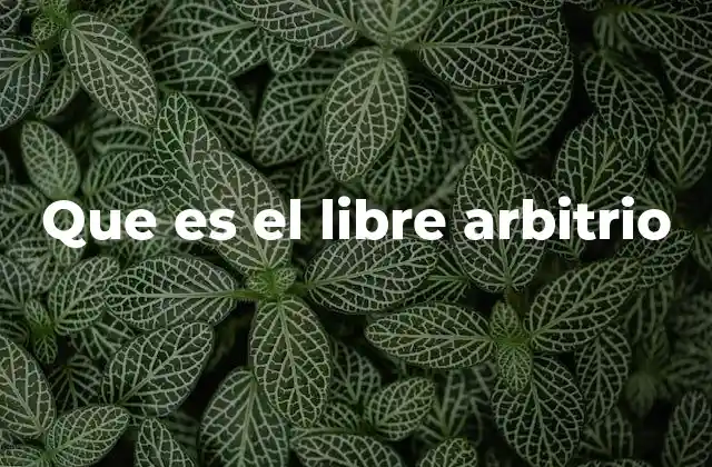 Que es el Libre Arbitrio