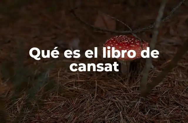 Qué es el Libro de Cansat