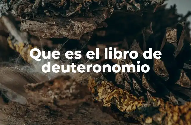 Que es el Libro de Deuteronomio 2 El Deuteronomio como espejo de la ley y la fe