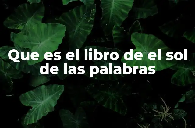 Que es el Libro de el Sol de las Palabras