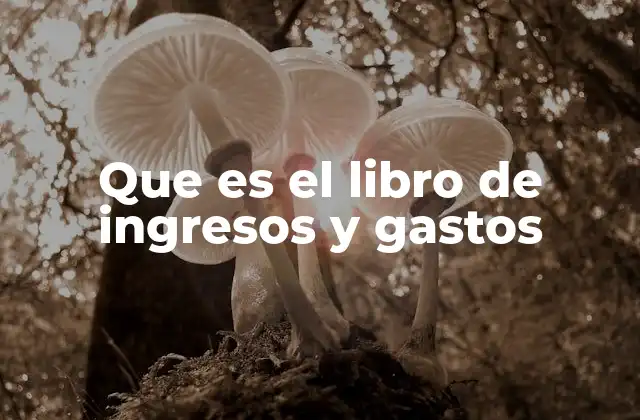 Que es el Libro de Ingresos y Gastos