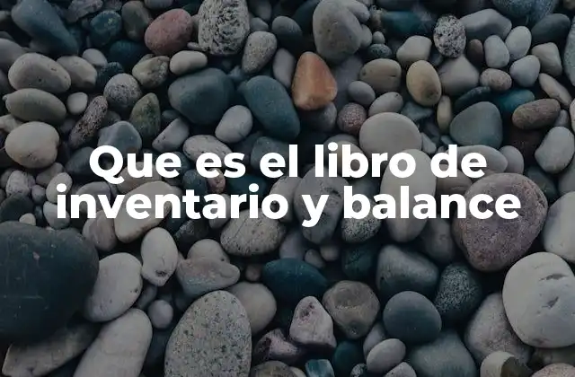 Que es el Libro de Inventario y Balance