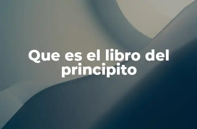 Que es el Libro Del Principito