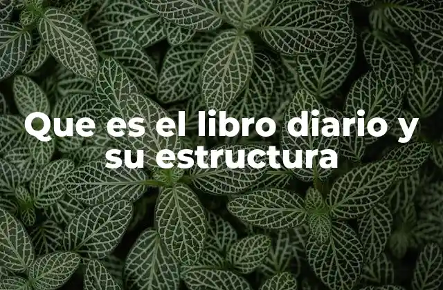 La importancia del libro diario en la contabilidad empresarial
