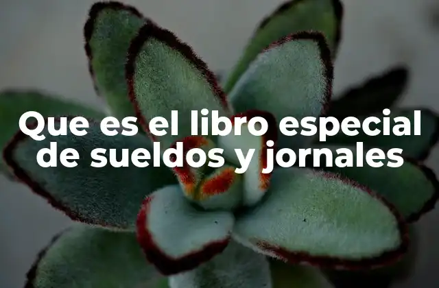 Que es el Libro Especial de Sueldos y Jornales