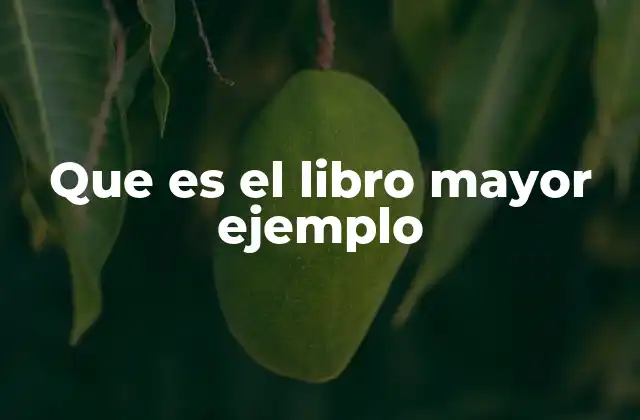 Que es el Libro Mayor Ejemplo