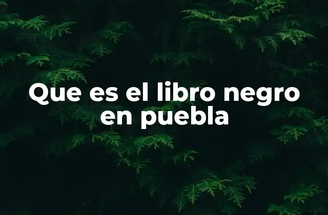 Que es el Libro Negro en Puebla 2 El testimonio de la violencia en Puebla