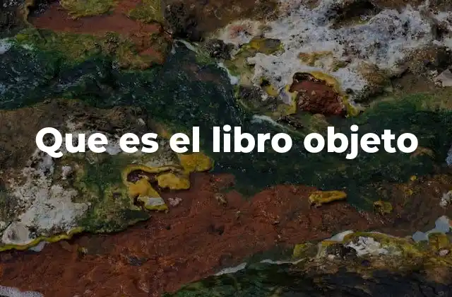 Que es el Libro Objeto