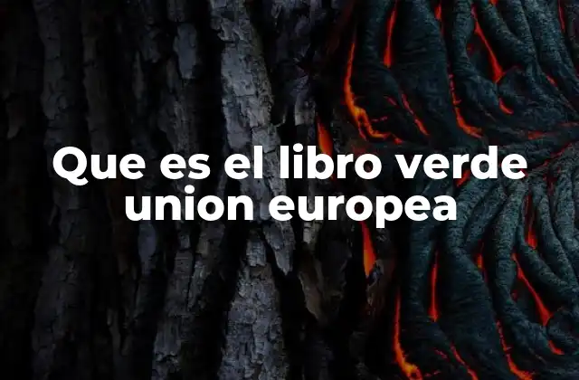Que es el Libro Verde Union Europea
