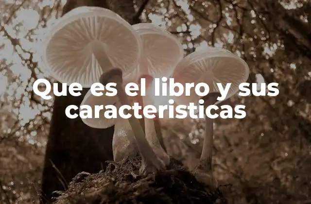 Que es el Libro y Sus Caracteristicas