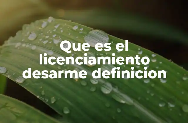 Que es el Licenciamiento Desarme Definicion 2 El proceso legal para obtener un permiso de porte de armas
