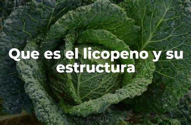 El licopeno en la nutrición humana