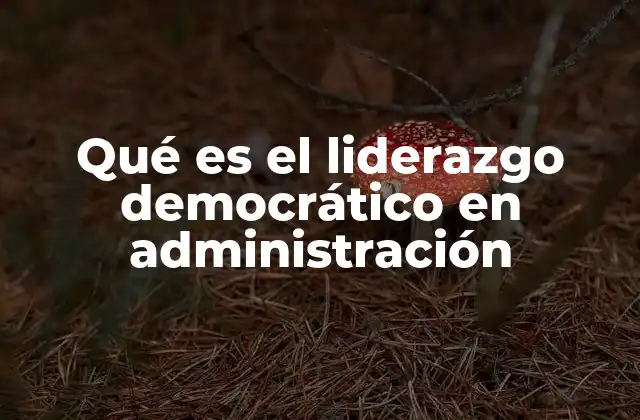 Qué es el Liderazgo Democrático en Administración