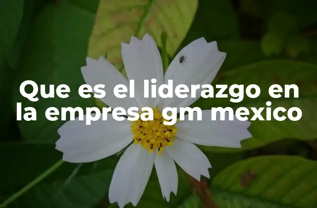 Que es el Liderazgo en la Empresa Gm Mexico