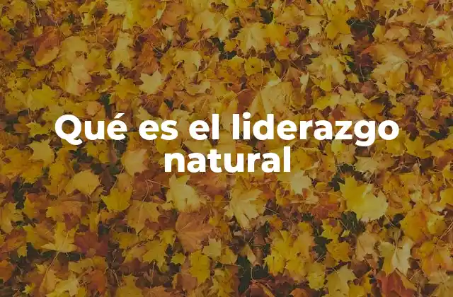 Qué es el Liderazgo Natural