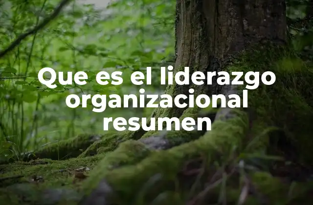 Que es el Liderazgo Organizacional Resumen