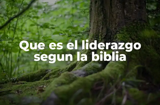 Que es el Liderazgo Segun la Biblia