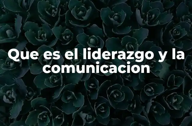 Que es el Liderazgo y la Comunicacion