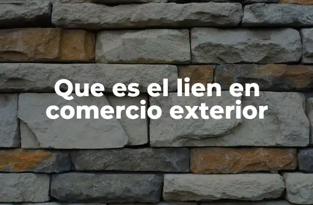 Que es el Lien en Comercio Exterior 2 El papel del lien en el proceso de importación y exportación