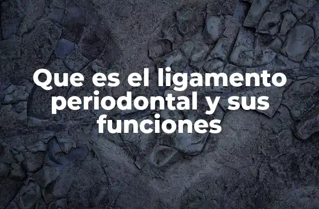 Que es el Ligamento Periodontal y Sus Funciones