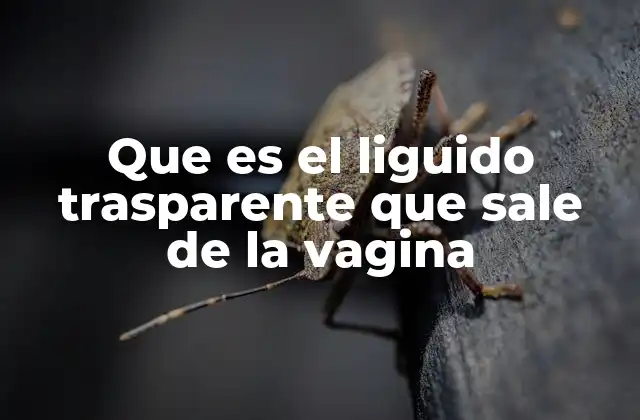 Que es el Liguido Trasparente que Sale de la Vagina
