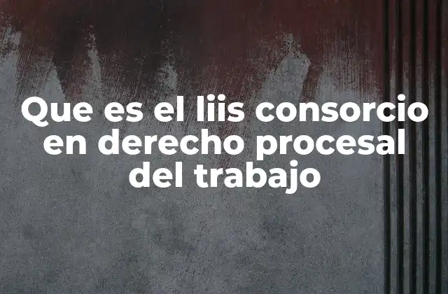 Que es el Liis Consorcio en Derecho Procesal Del Trabajo