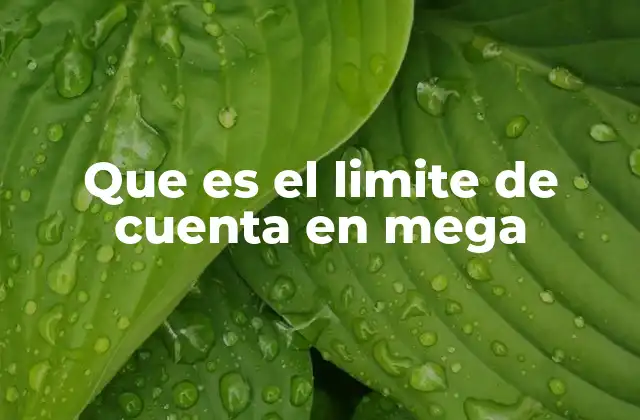 Que es el Limite de Cuenta en Mega