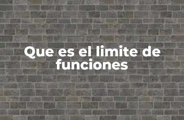 El comportamiento asintótico de las funciones