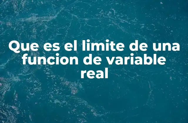 Que es el Limite de una Funcion de Variable Real