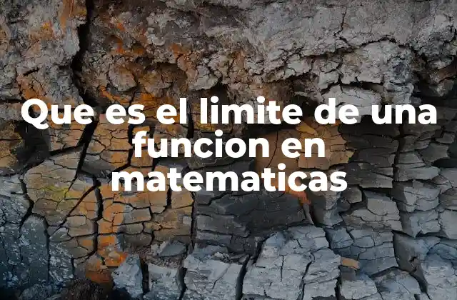 Que es el Limite de una Funcion en Matematicas