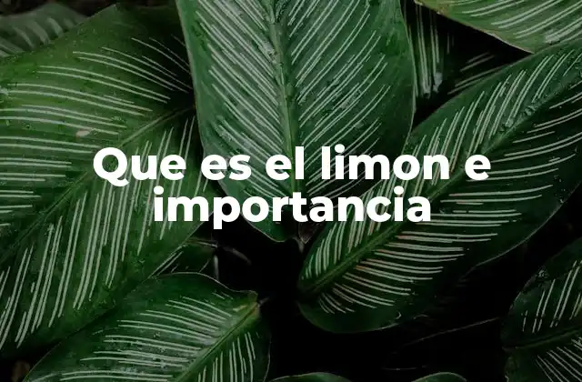 Que es el Limon e Importancia