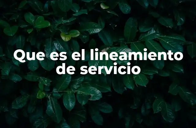Que es el Lineamiento de Servicio