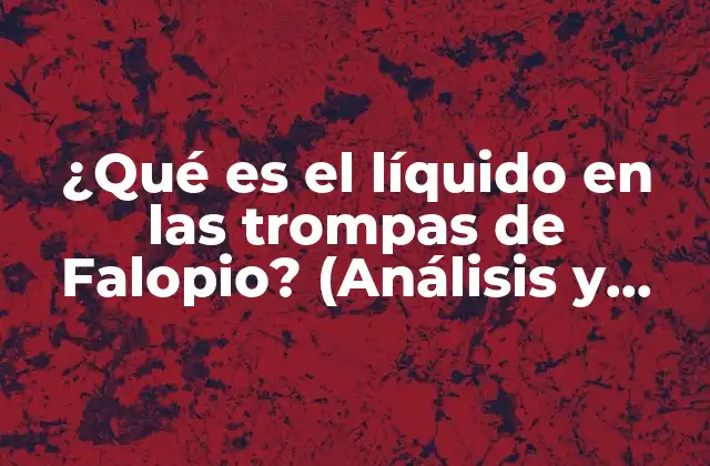 Causas del Líquido en las Trompas de Falopio