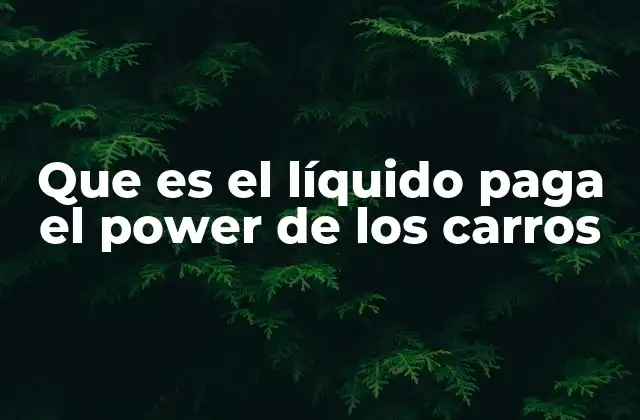 Que es el Líquido Paga el Power de los Carros