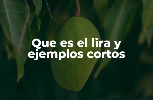 Que es el Lira y Ejemplos Cortos