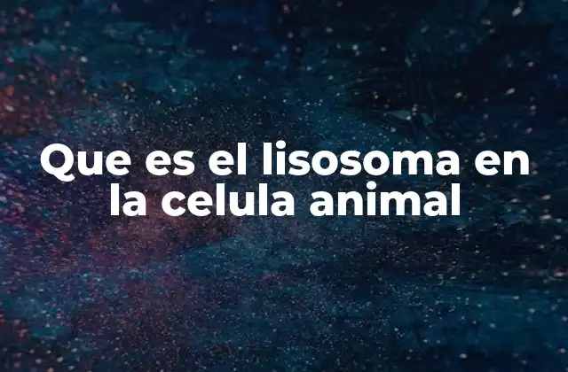 Que es el Lisosoma en la Celula Animal