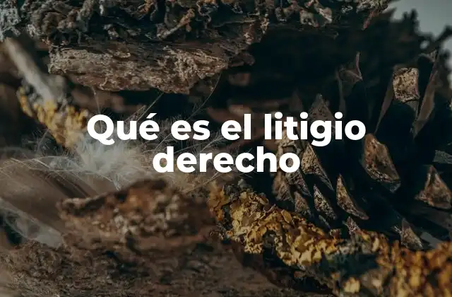 Qué es el Litigio Derecho