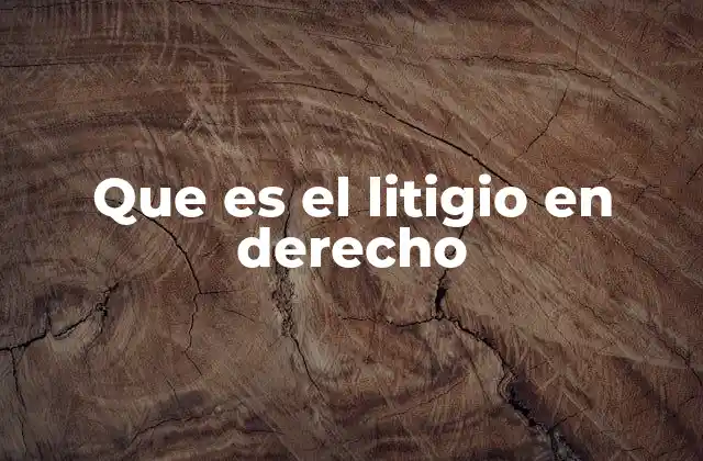 Que es el Litigio en Derecho
